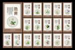 中药文化展板