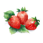 水果手绘水彩风清新草莓 