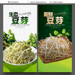 豆芽