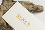 高端LOGO样机