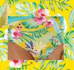 热带花朵  叶子