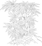 竹林