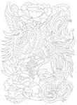 牡丹凤凰