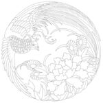 孔雀