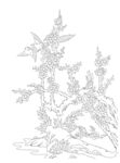 梅花