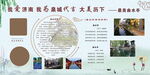 照片展板