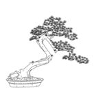 盆栽 矢量图