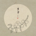 手绘李子