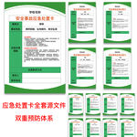 安全事故应急处置卡源文件双重预