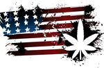 大麻叶 水转印 彼覆 数码迷彩