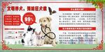 预防狂犬 