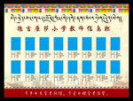 教师信息栏