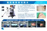 腹腔镜胆囊切除术