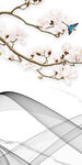 花鸟无框山水画 tif分层图