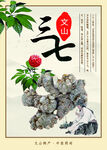 三七海报