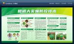 柑橘大实蝇防控技术展板海报