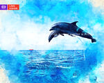 海豚