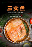 三文鱼海报
