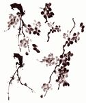 梅花