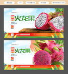 火龙果展板