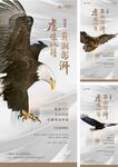 鹰 招聘