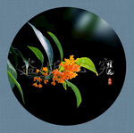 桂花