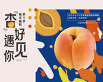 采摘杏子活动桁架分层