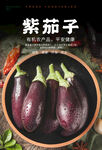 紫茄子海报