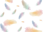 彩色羽毛装饰画