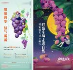 葡萄活动海报