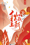 秋装上新