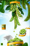 扁豆豌豆海报