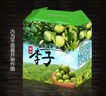 李子包装盒