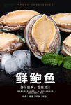 鲜鲍鱼海报