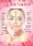 衰老部位与运程图