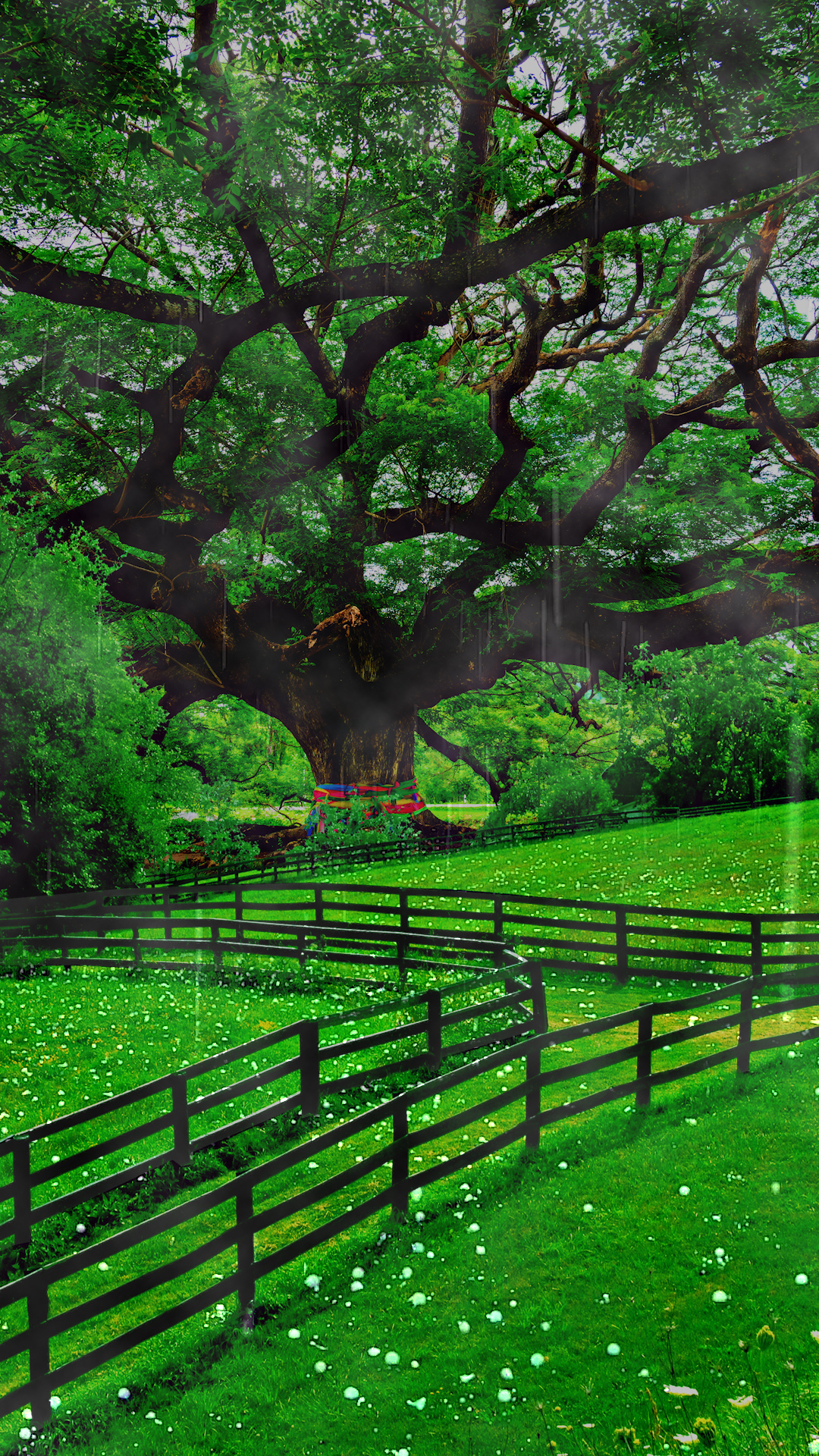 大树 草地 栅栏 冰雹