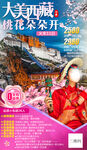 大美西藏旅游海报