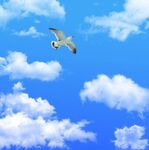蓝天白云