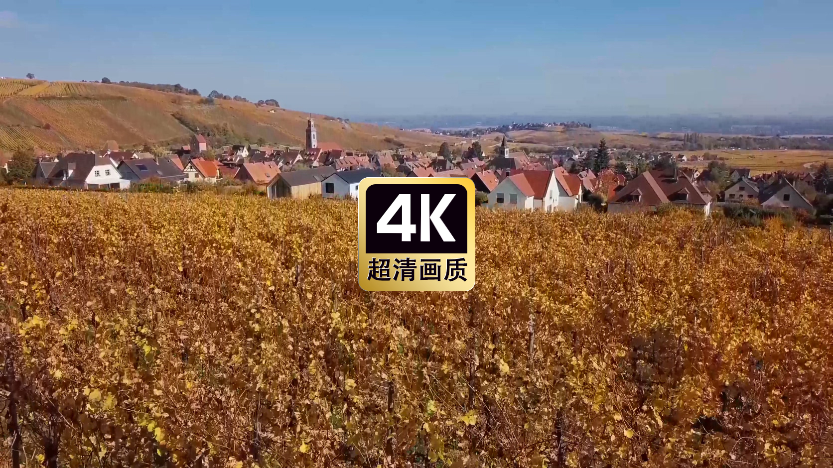 短视频素材航拍葡萄庄园建筑群