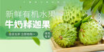释迦果海报 