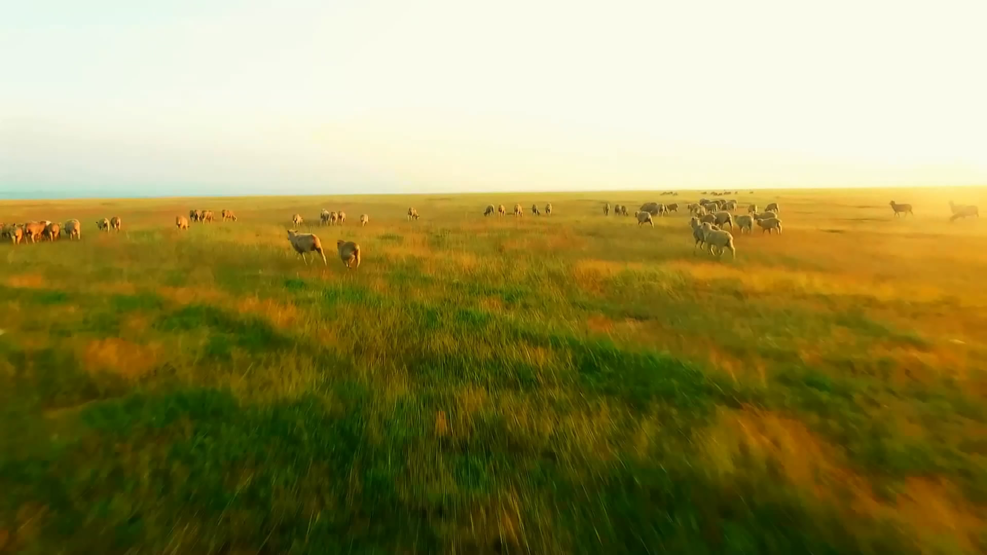 驰归 蒙古族舞蹈 舞美背景视频