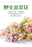 野生韭菜花 