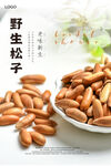 野生松子海报 