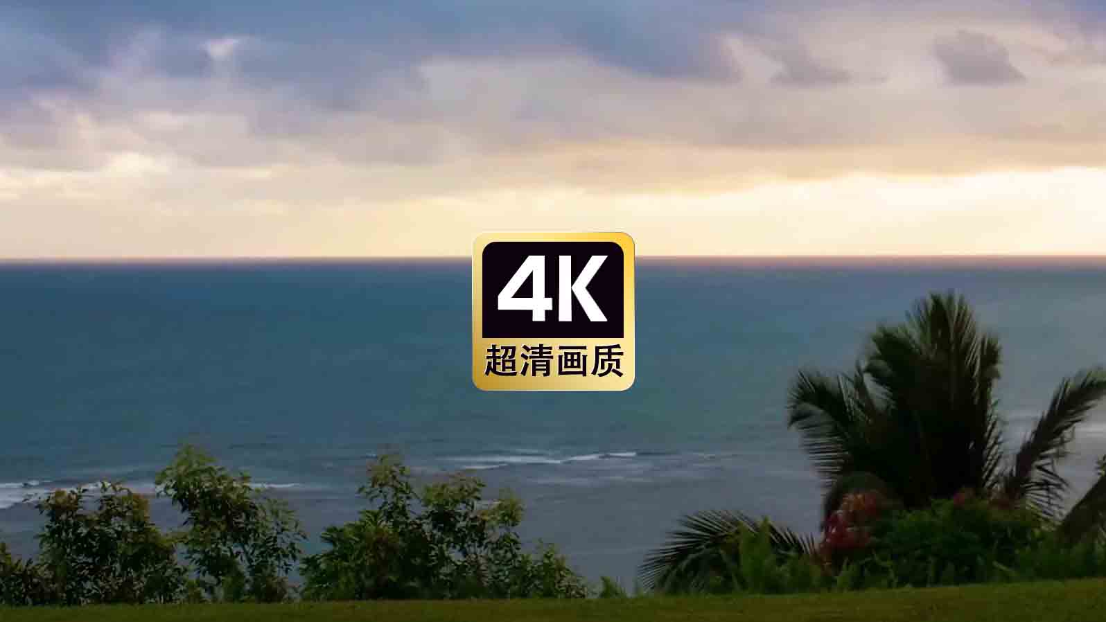 短视频素材加速视频海边椰树