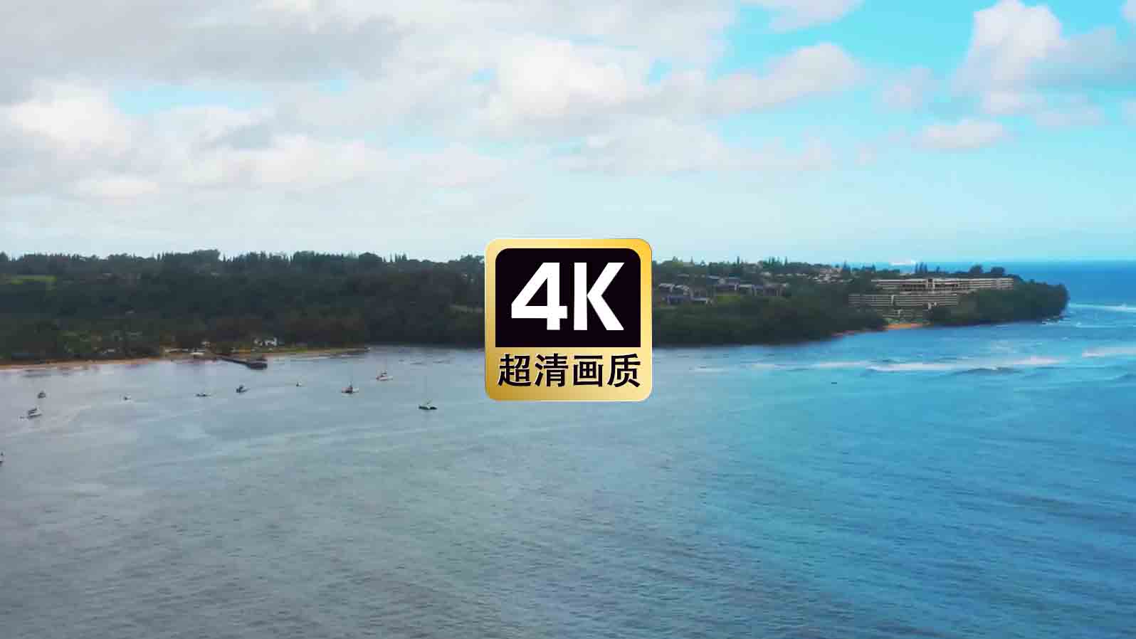 海岸线动画短视频制作,海岸线动画工作室原创动画