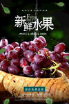 葡萄海报
