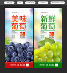 提子