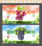 葡萄
