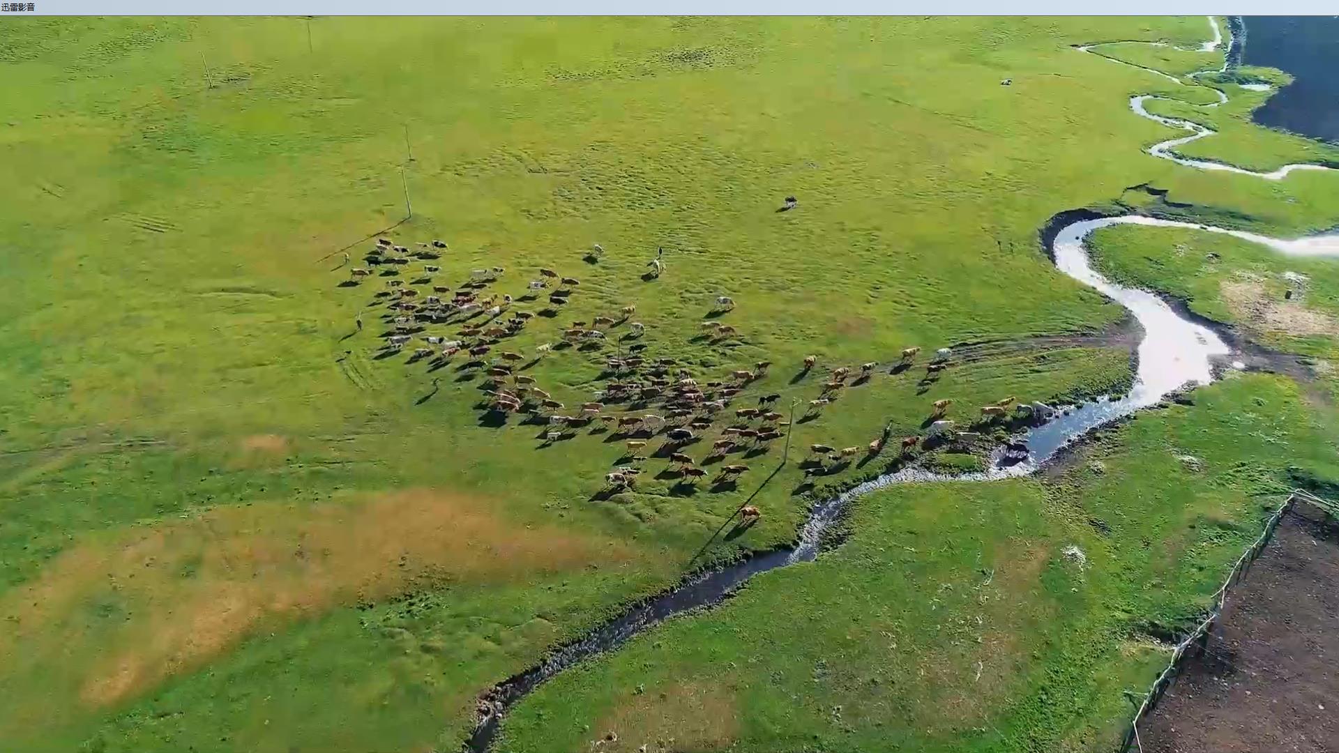中华少年朗诵背景视频