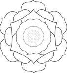 矢量莲花  CDR文件